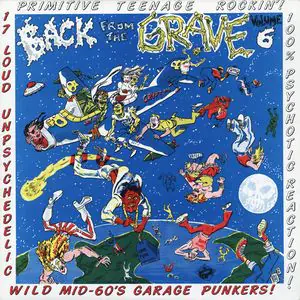 Various - Back From The Grave Volume Six